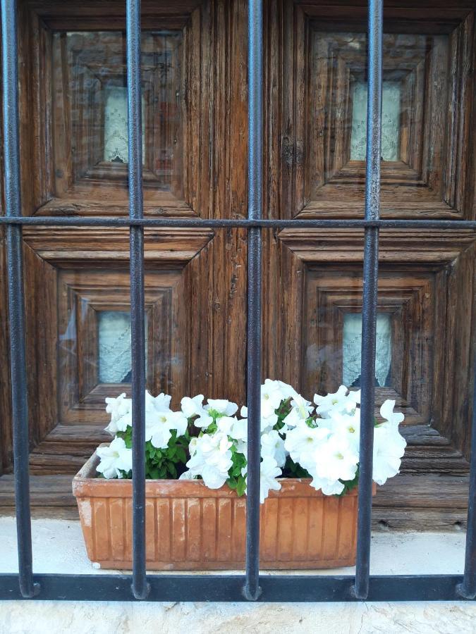 La Sinagoga Guest House Penaranda de Duero Ngoại thất bức ảnh